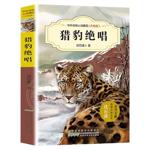 猎豹绝唱-中外动物小说精品(升级版) 沈石溪 安徽少年儿童出版社