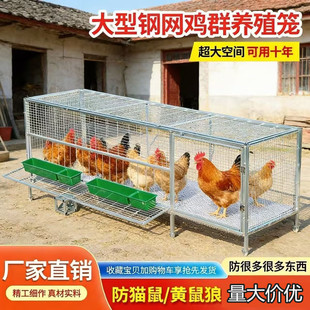 养殖笼鸡笼下蛋养鸡雏鸡加密狗笼子鸽子专用笼户外兔子笼农村方管