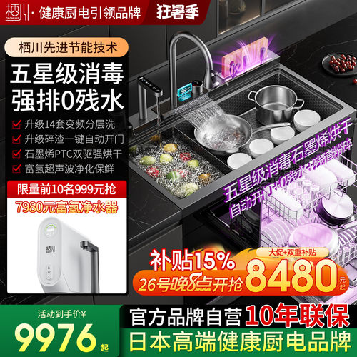 日本栖川集成水槽碎渣强排分层洗