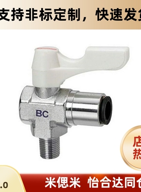 BBPCL102/62/61 BBPCL81 BBPCL82-B W Y BL小型球阀BBPTL11F/22F