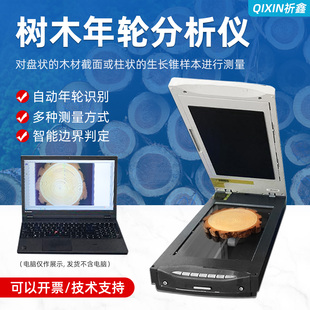 树木年轮分析仪系统植物生长年树龄检测仪木材树盘面积测试仪