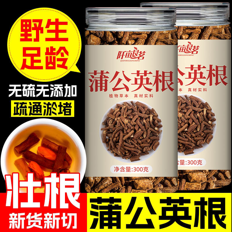 蒲公英根茶长白山浦公英根干片正养生茶