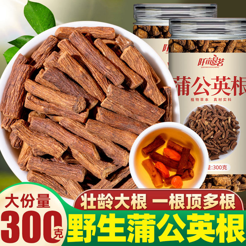 蒲公英根茶长白山浦公英根干片正品官方不特级非中药材野生300g罐