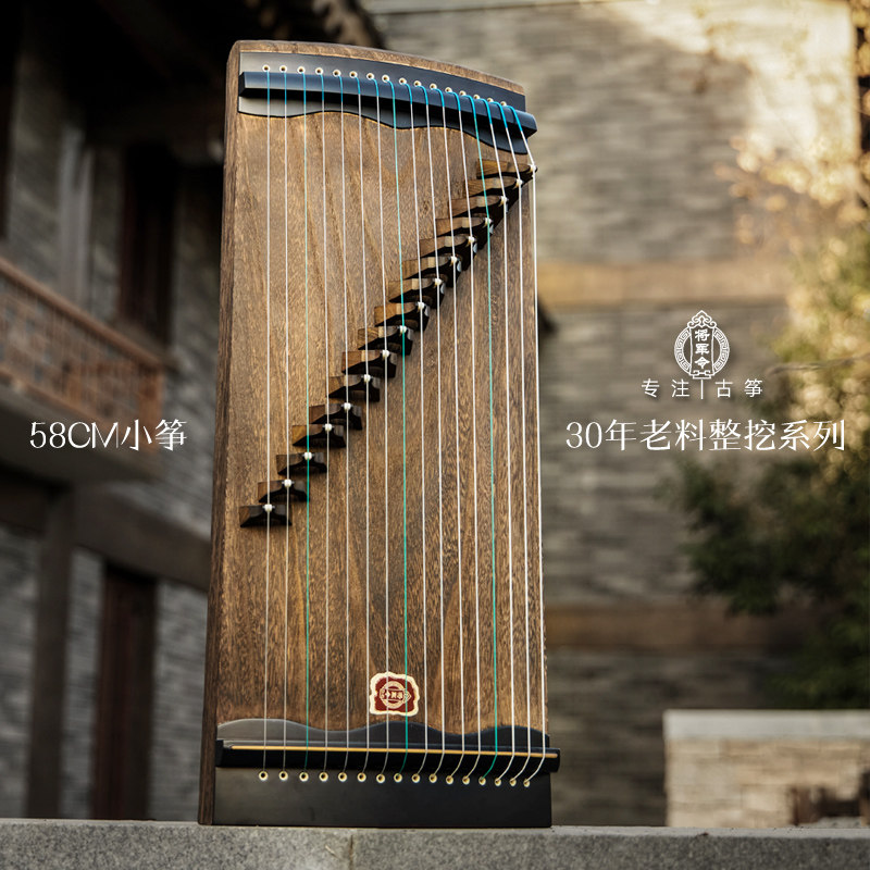 将军令迷你小型超薄便携初学者入门专业演奏级整挖58cm16弦古筝琴