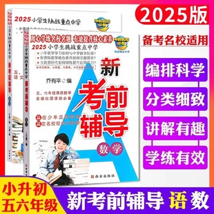 2025小学生挑战重点中学新考前辅导语文数学英语乔有平编五六年级