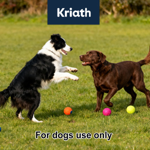 Kriath 宠物可饮用漱口水 猫狗通用植萃配方温和护龈清洁口腔牙渍