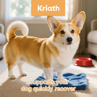 Kriath 狗狗皮肤护理滴剂 日常易用温和润养狗狗皮肤不适处滴剂