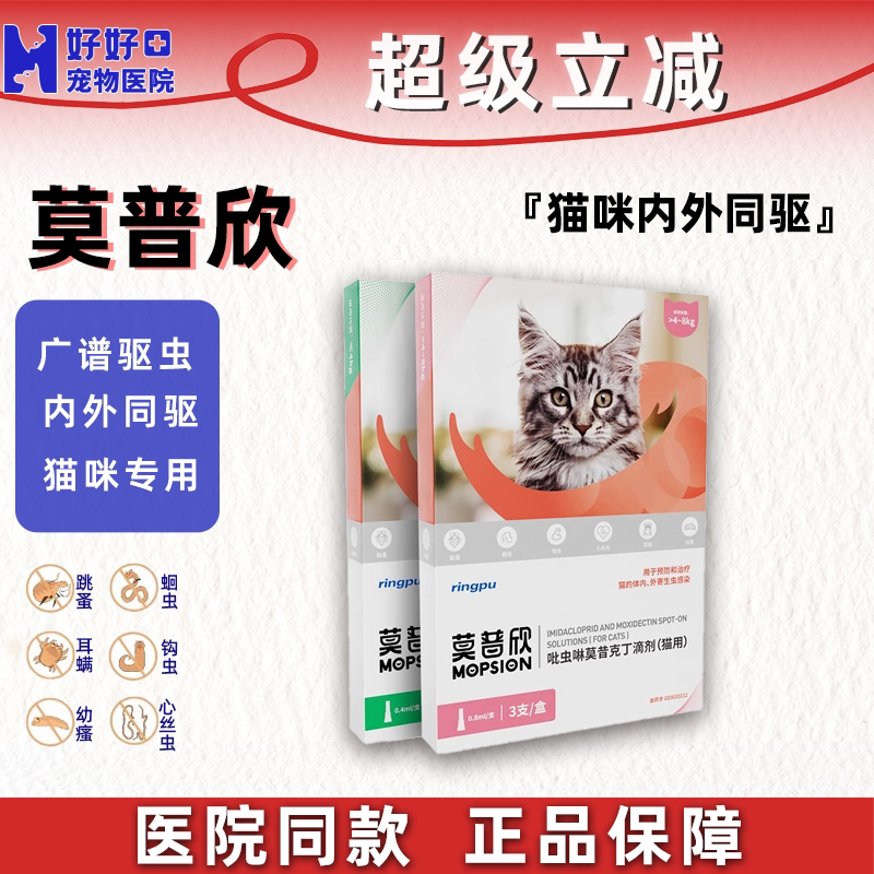 怕老婆的豆哥推荐莫普欣内外同驱图片