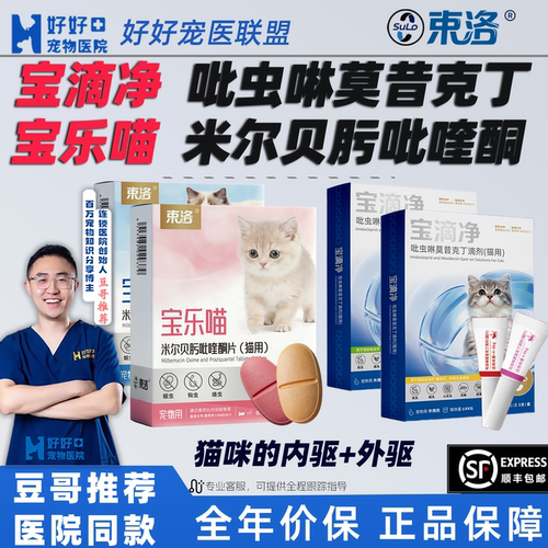 怕老婆的豆哥推荐猫咪的内外驱
