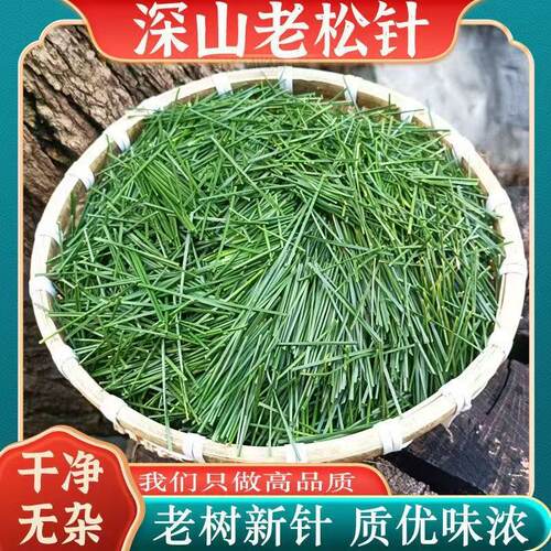 松针茶的功效中药材正品250g泡水喝长白山野生天然松针干马尾松针