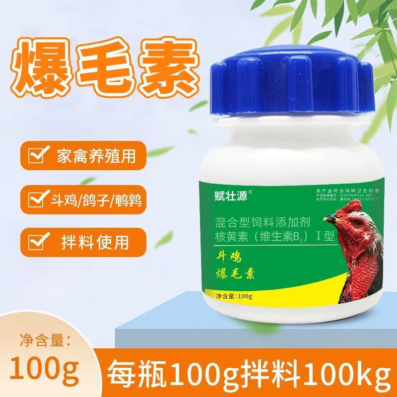【斗鸡爆毛粉】100g/瓶 斗鸡养殖掉毛不长毛用爆毛粉 复配型产品