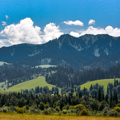 北疆|喀纳斯禾木赛里木湖伊犁十日之旅