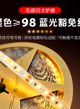 24V低压全光谱护眼线性灯