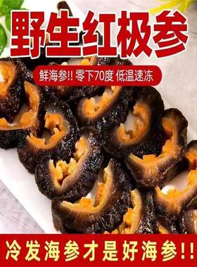 峻江百货冰岛野生极参高品质鲜食参LET海红参即食非淡辽参刺干滋