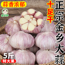 10斤 金乡紫皮大蒜头干蒜批发新鲜多瓣蒜农家红皮大蒜子1