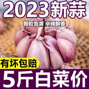 山东金乡紫皮大蒜头干蒜5斤批发2023新鲜蔬菜祘籽10斤农家蒜种子