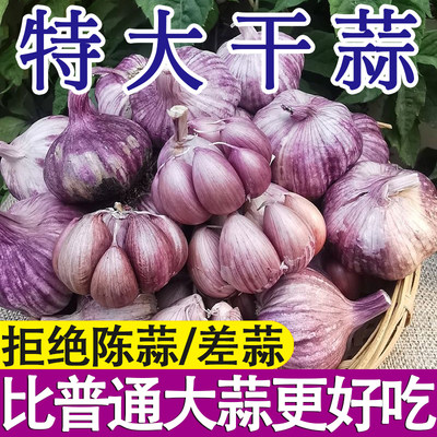 山东金乡大蒜紫皮新鲜大蒜头蔬菜