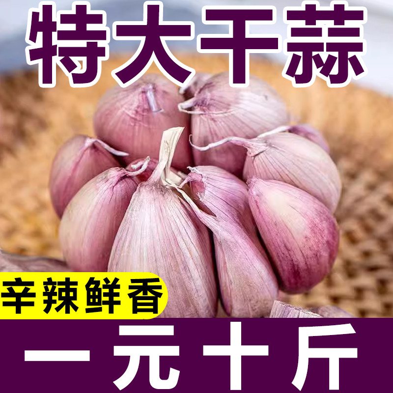 山东金乡大蒜头干蒜5斤2023当季紫皮新干蒜蒜头种子新鲜整箱批发高性价比高么？