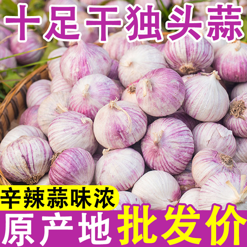 【十足干】2025紫皮独头干蒜