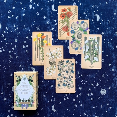塔罗牌塔luo牌古典解剖The Antique Anatomy Tarot英文马赛系