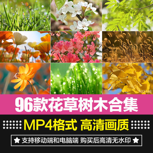 花草树木绿色自然植物摄影短片