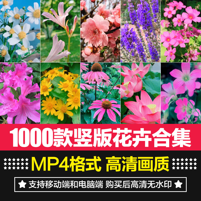 竖版高清花卉儿小植物实拍素材