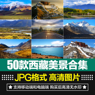 高清西藏风景布达拉宫雪山湖泊蓝天白云草原实拍背景设计图片素材