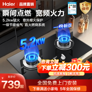 海尔燃气灶猛火双灶台燃气灶煤气灶抽油烟机套装家用灶台灶具BE50