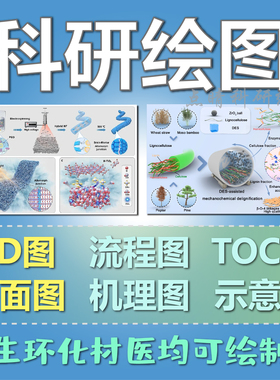 科研绘图机理图3D流程图材料化学催化论文插图TOC画图SCI制图
