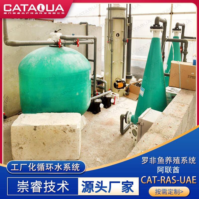 阿联酋罗非鱼鲶鱼循环水养殖项目工厂化循环水养殖水处理系统