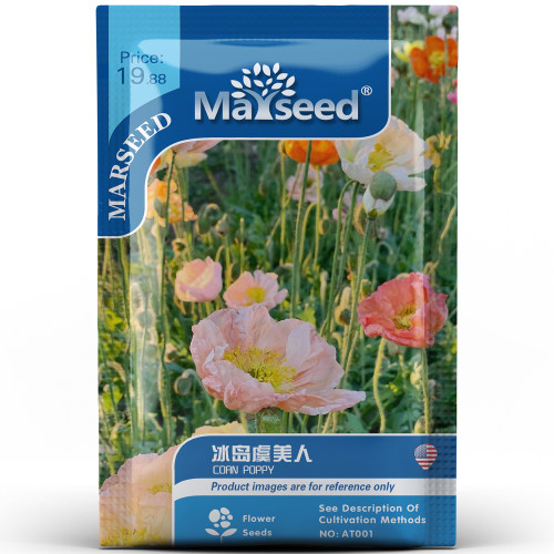 【marseed】冰岛虞美人种子籽