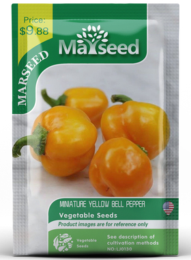 【MARSEED火星家】传家宝MiniatureBell黄色小铃铛甜椒种子
