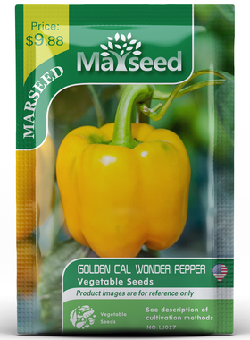 【MARSEED火星家】传家宝GOLDEN CAL WONDER金色加州奇迹甜椒种子