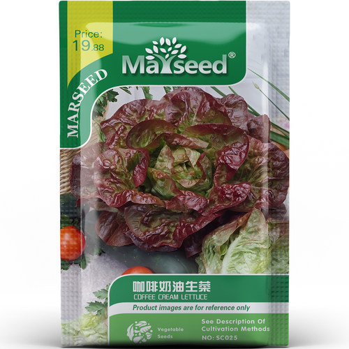 高颜值咖啡奶油生菜口感软糯搭配牛排沙拉蔬菜家庭植种子种苗A174