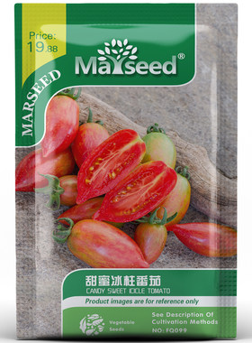 超风味甜蜜冰柱番茄种子