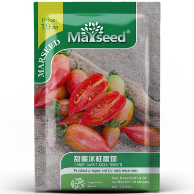 超风味甜蜜冰柱番茄种子