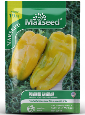 【新品推荐】进口传家宝黄色怪物巨型甜椒庭院蔬菜辣椒种子籽