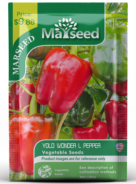 【MARSEED火星家】WONDER水果红色大加州奇迹甜椒种子籽孑