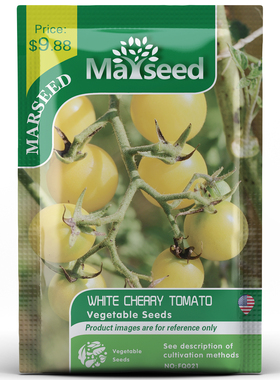 【MARSEED火星家】进口传家宝白樱桃番茄种子秧苗阳台盆栽
