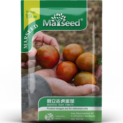 阳台高颜值倒立老虎番茄条纹色彩清爽又解腻蔬菜盆栽种子种苗A079