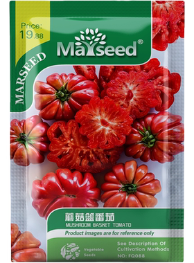 番茄合集进口传家宝老柿子大西红柿蔬菜小番茄种子籽种苗阳台盆栽