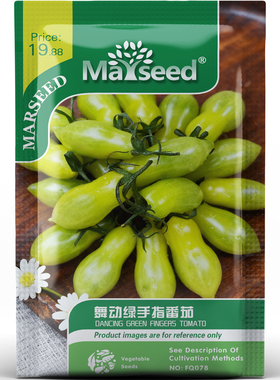 舞动绿手指番茄种子种苗青玉透光琥珀渐变果少籽脆甜爆汁蔬菜C209