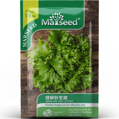 清新百搭绿碎叶生菜入口软滑摆盘又精巧蔬菜阳台盆栽种子种苗A192