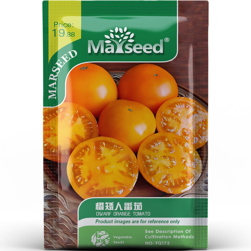 阳台的太阳橙色矮人番茄清新果香增添色彩蔬菜小空间种子种苗A087
