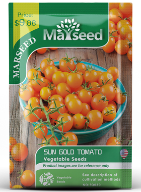 【掌柜推荐】超甜经典金太阳Sungold黄色小樱桃番茄种子孑籽苗