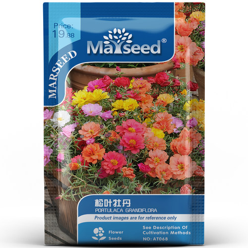 复瓣混色芍药系列松叶牡丹打造阳台花海庭院花境观赏花卉种子种苗