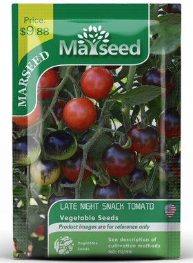 【MARSEED火星家】美国泛美深夜零食小樱桃滴圣女果樱桃番茄种子