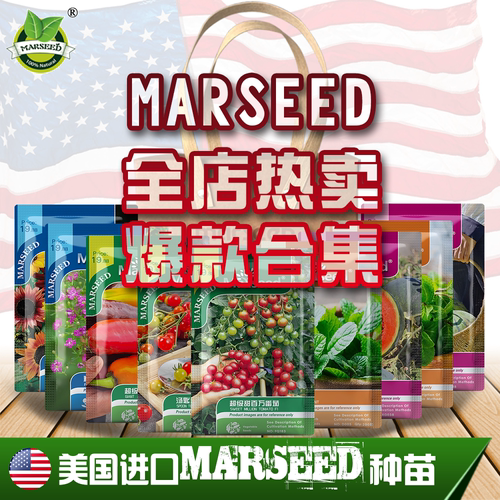 十年经典爆款网红推荐合集系列