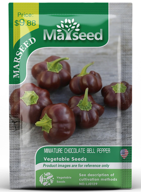 【MARSEED火星家】传家宝Chocolate Bell巧克力小铃铛甜椒种子
