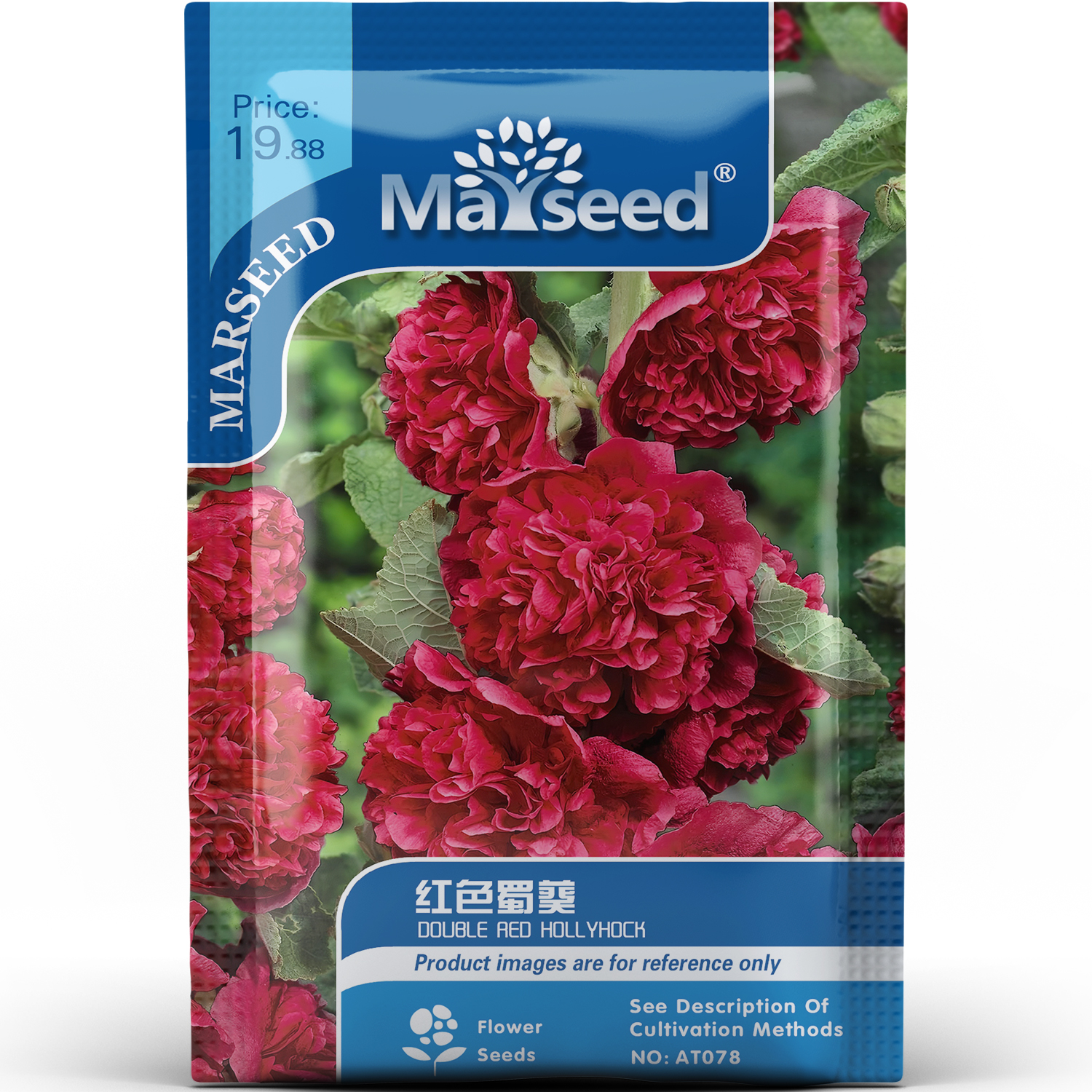 热烈鲜艳红色蜀葵种子种苗重瓣丰满华丽大气庭院花卉切花种植好选